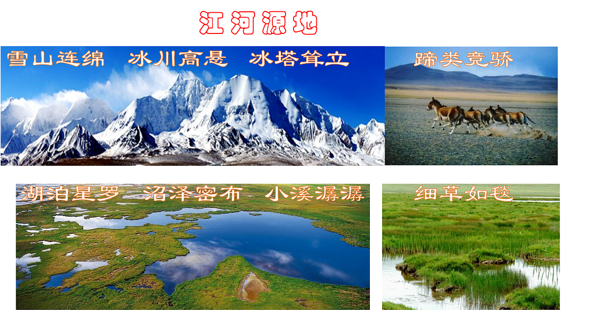 18155397第2页