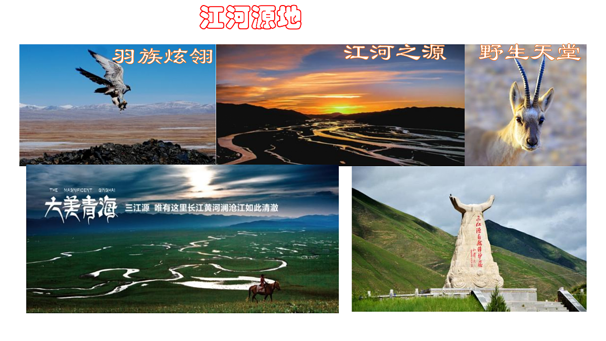 18155397第3页
