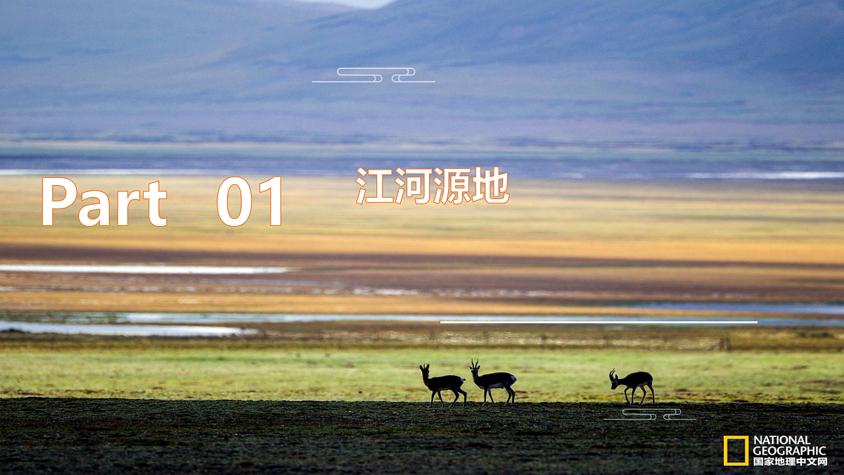 18155397第4页
