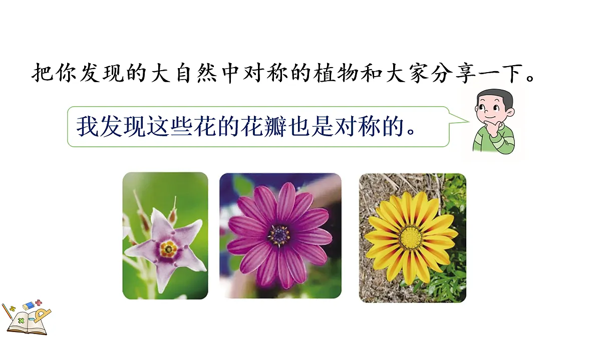 18155428第5页