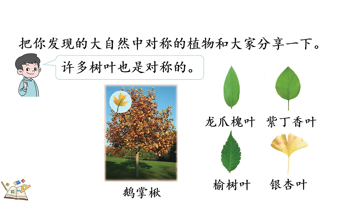 18155428第6页