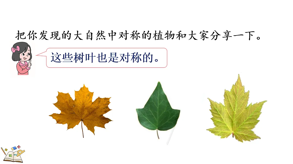 18155428第7页