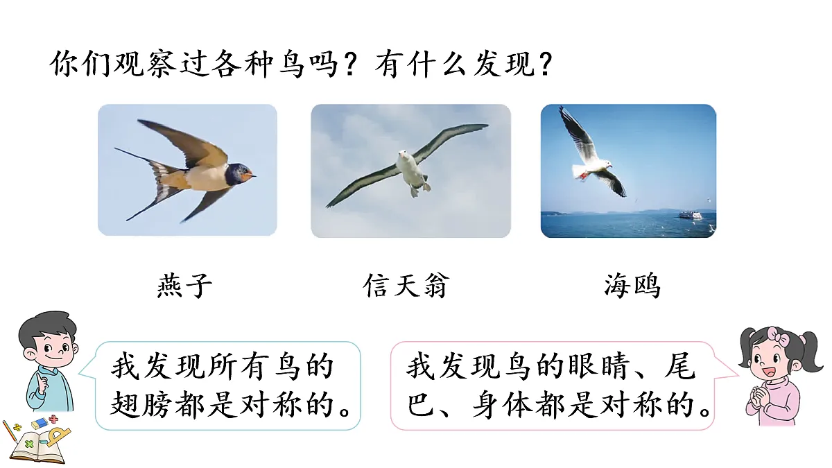 18155428第8页