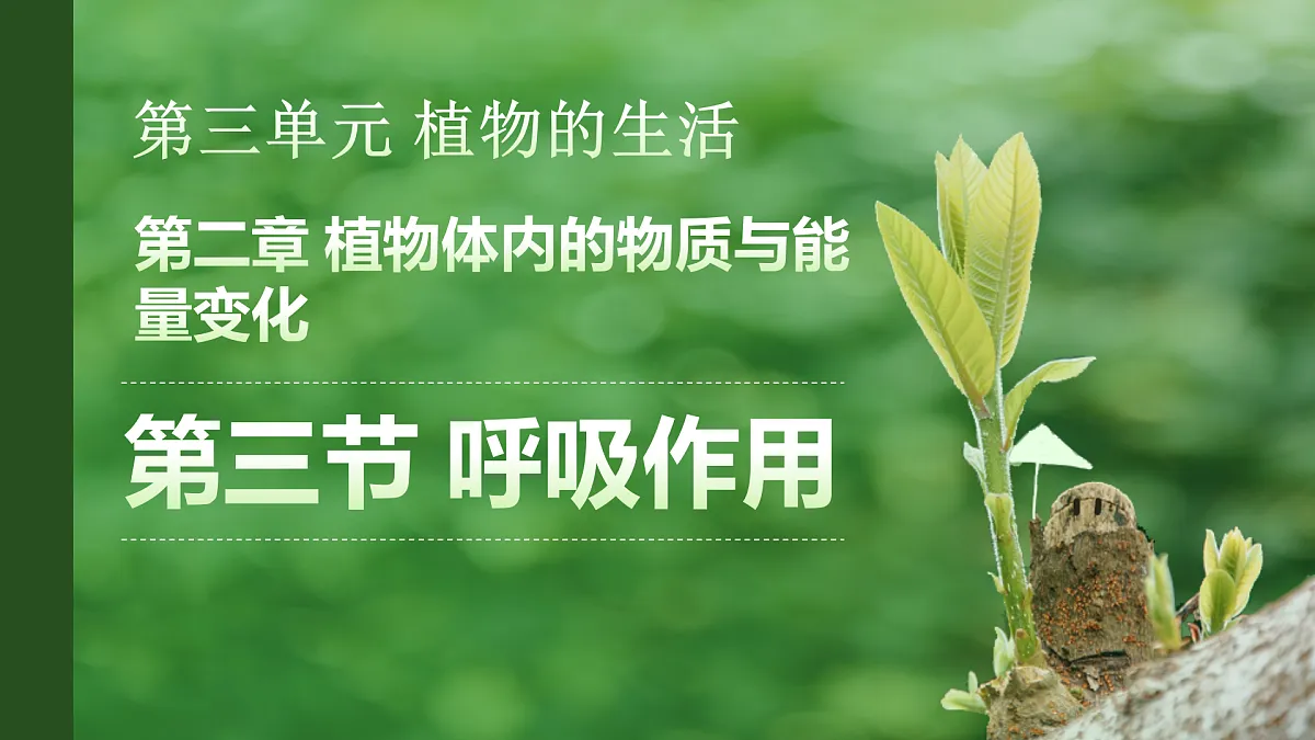 18155509第1页