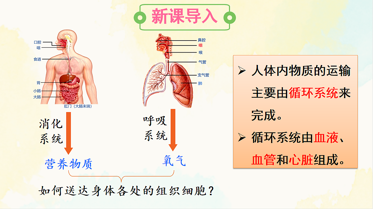 18155510第3页
