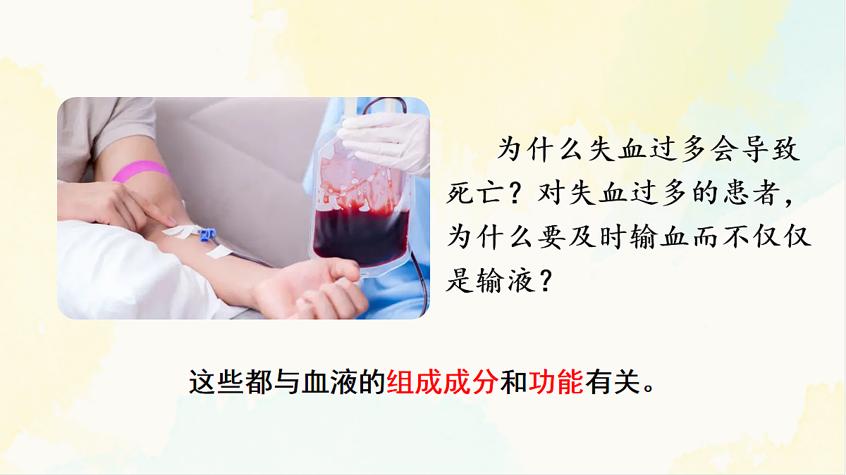 18155510第4页