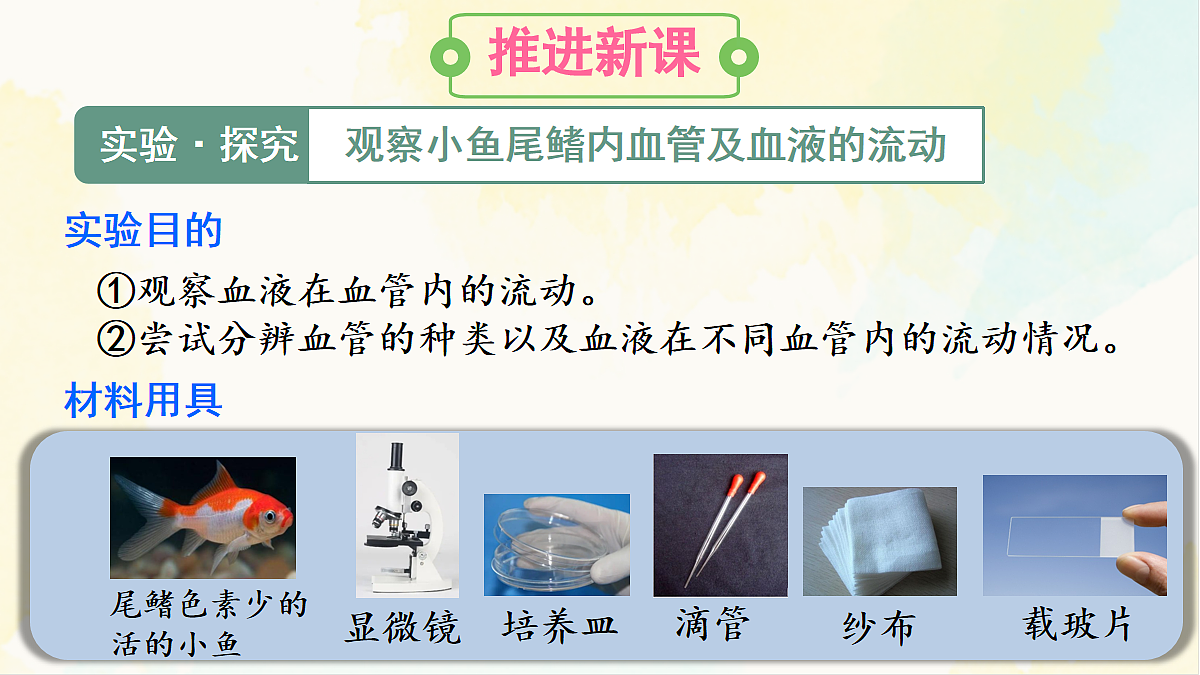 18155511第4页