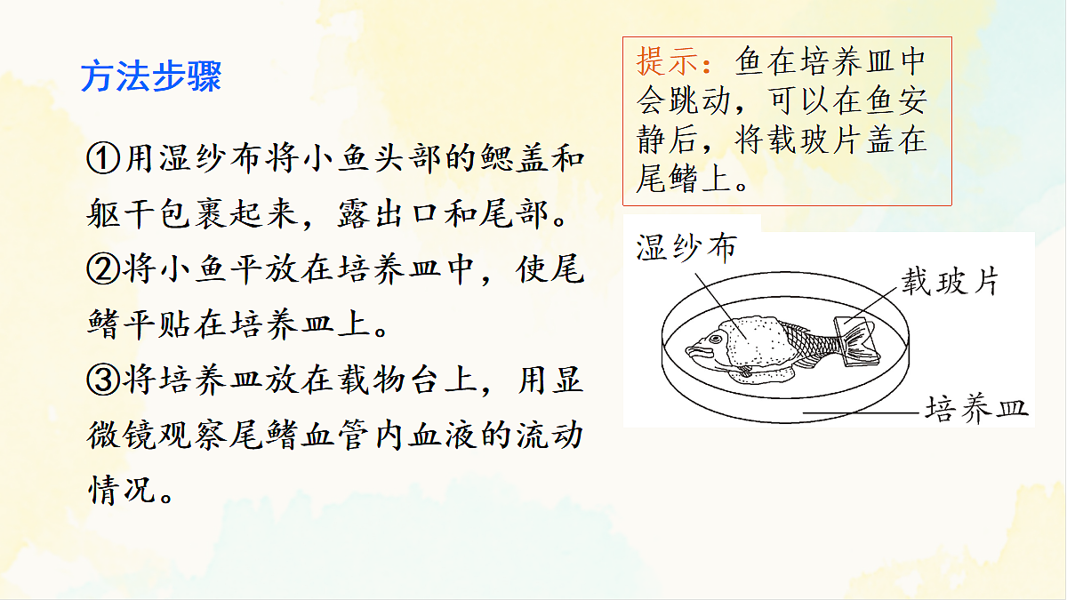 18155511第5页