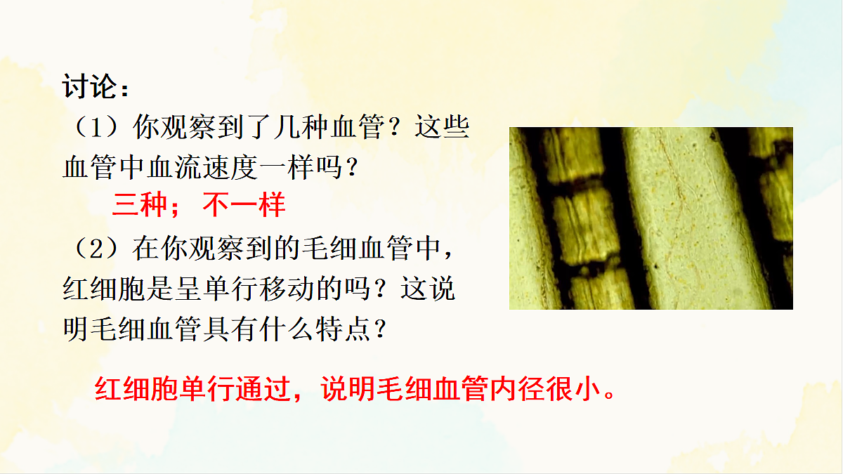 18155511第8页