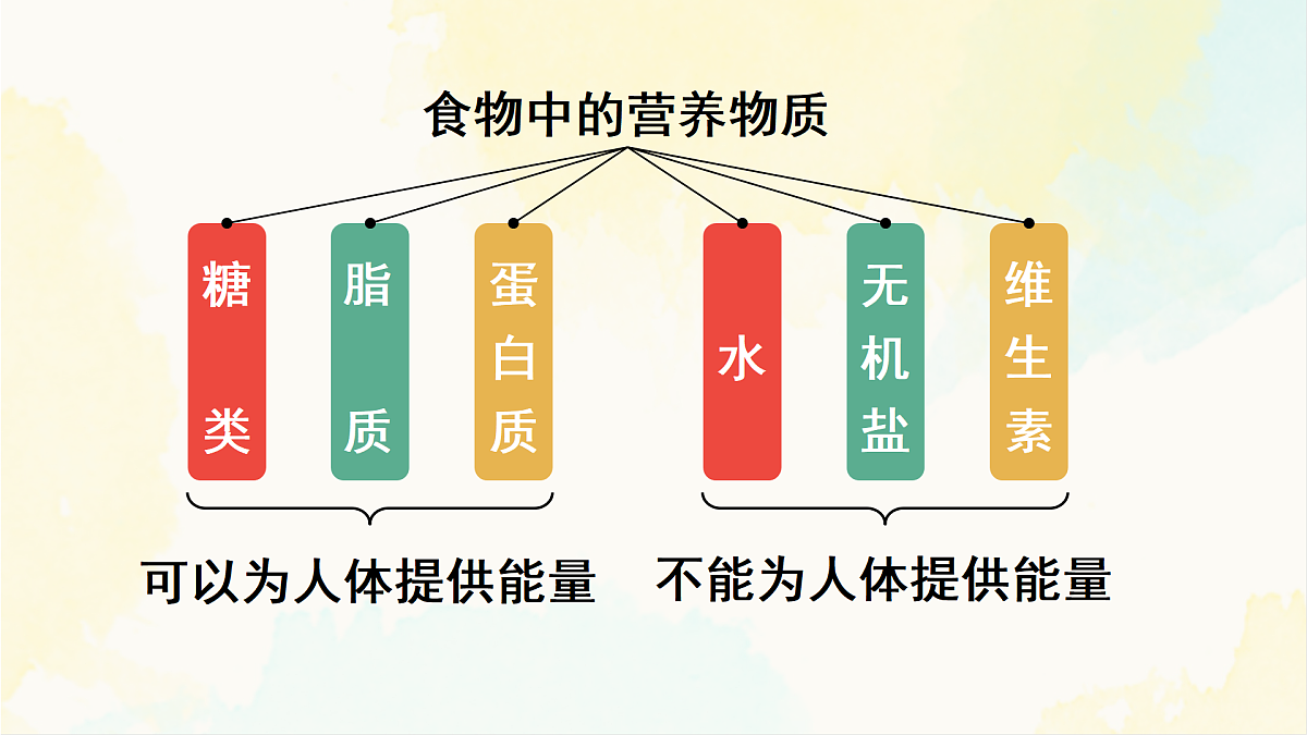 18155530第8页