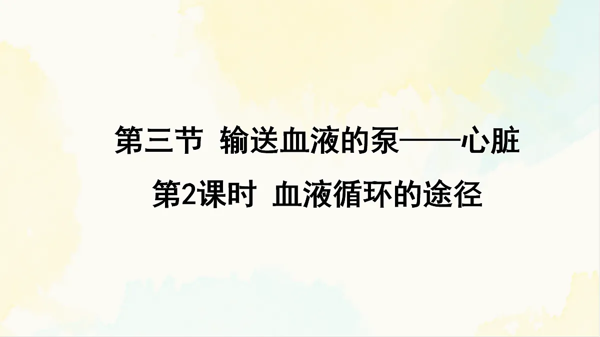 18155531第1页