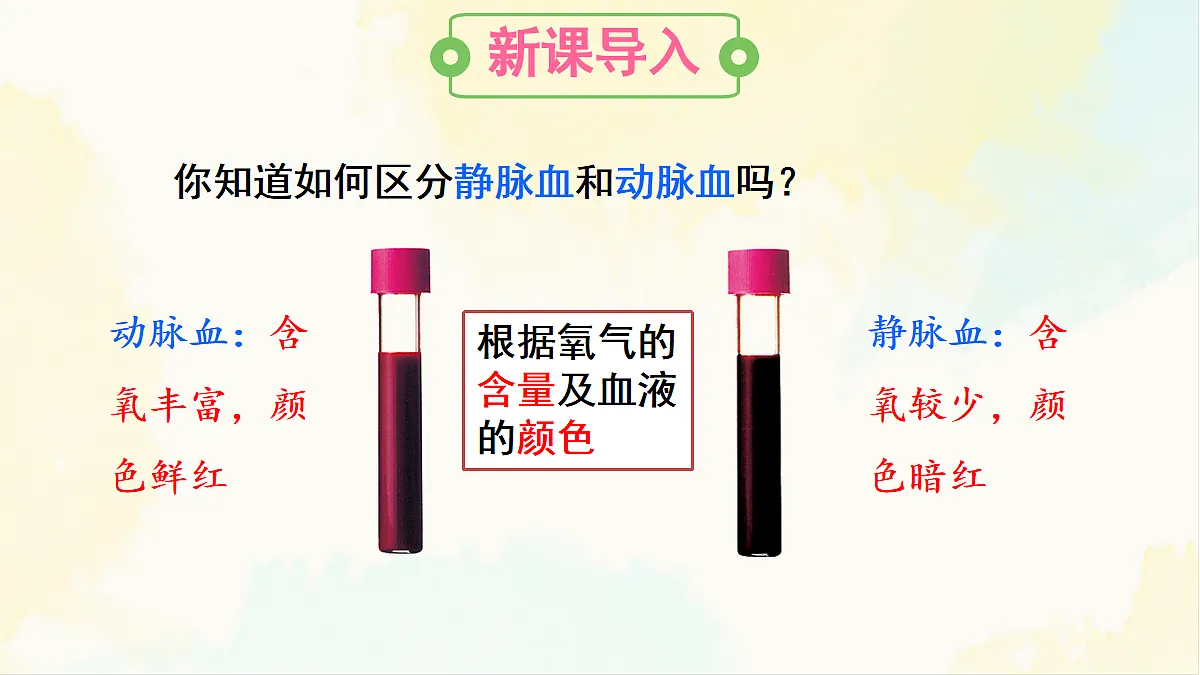 18155531第3页
