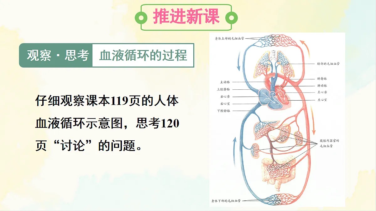 18155531第4页