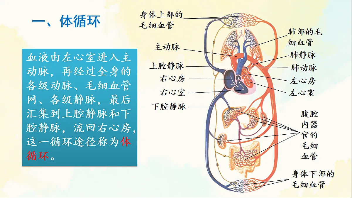 18155531第6页