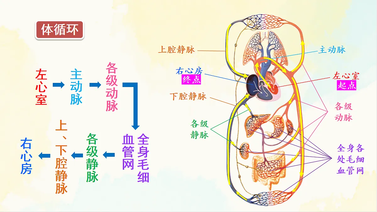 18155531第7页