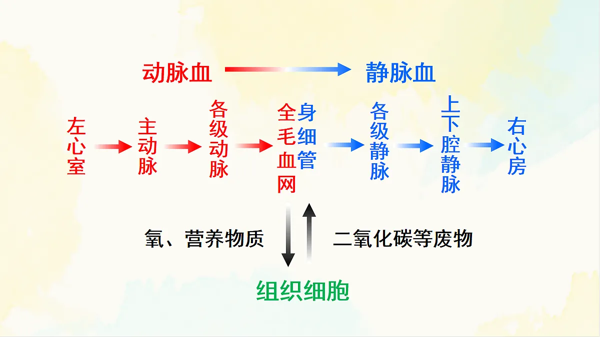 18155531第8页