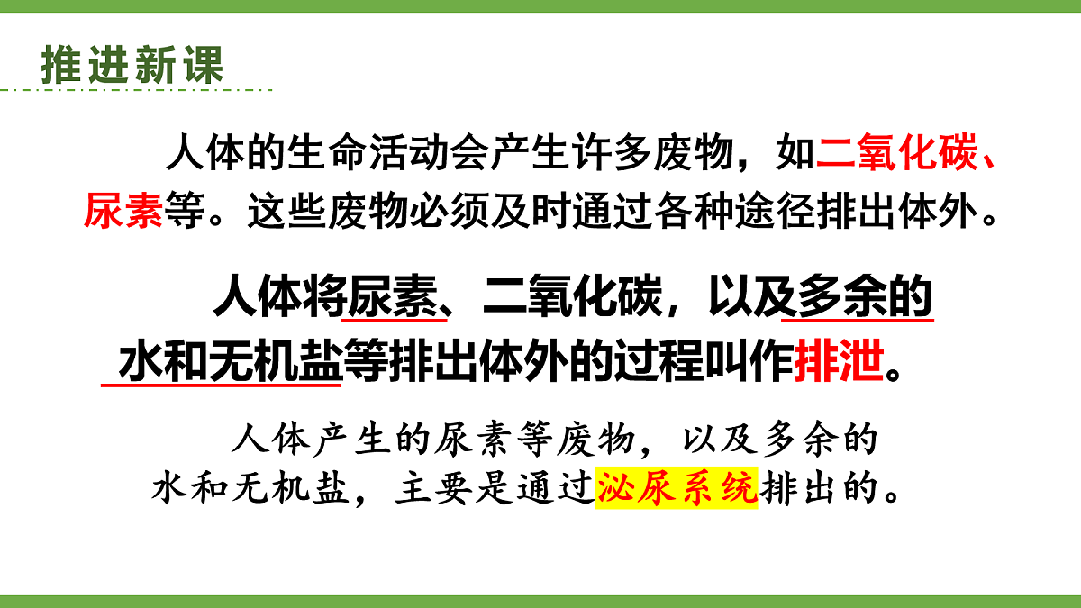 18155532第5页