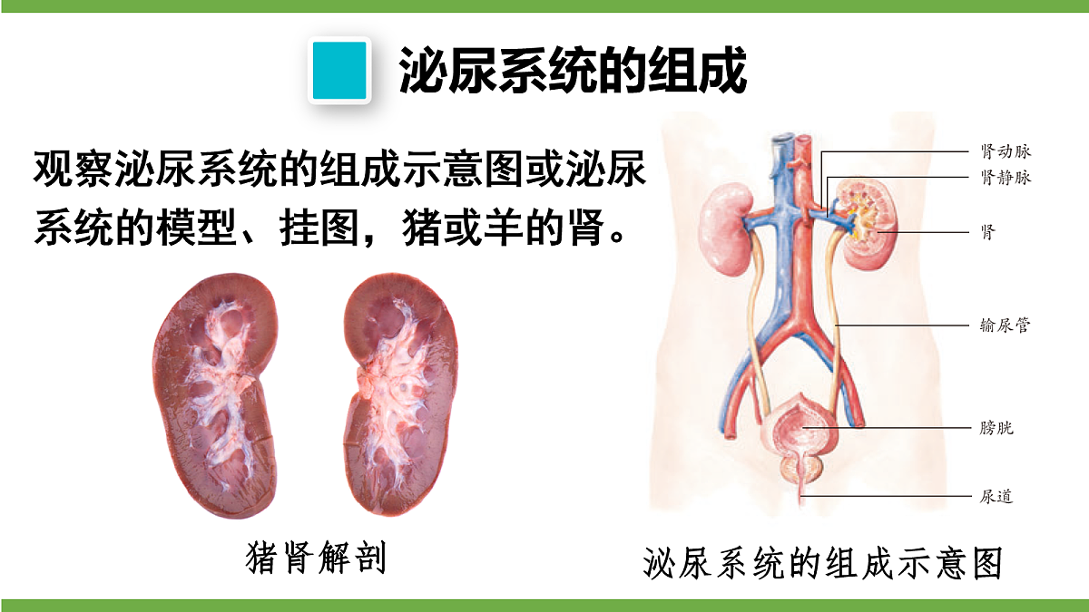 18155532第6页