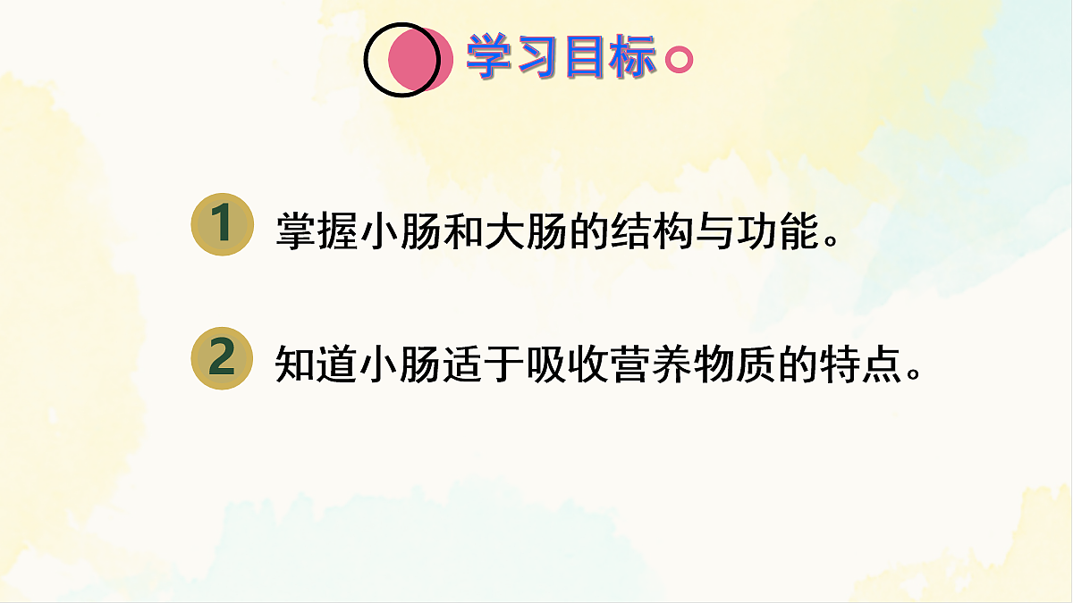 18155533第2页