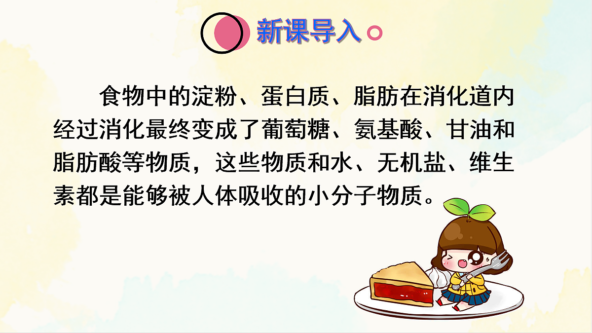 18155533第3页