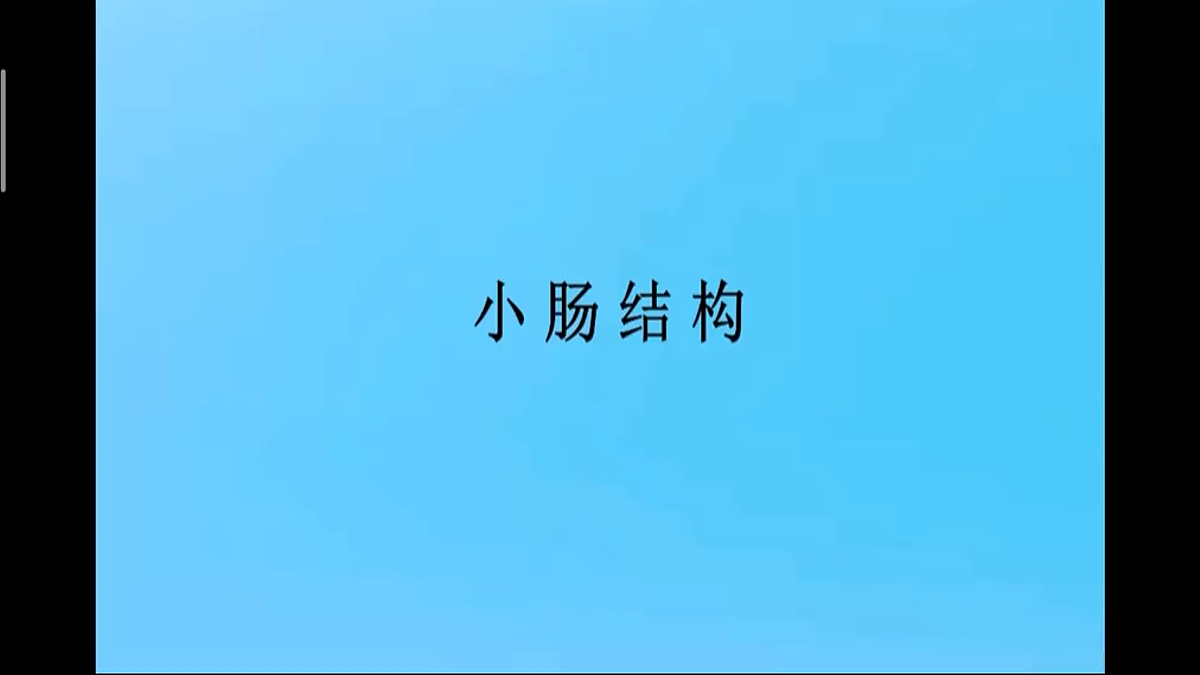 18155533第5页