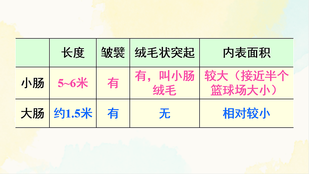 18155533第7页