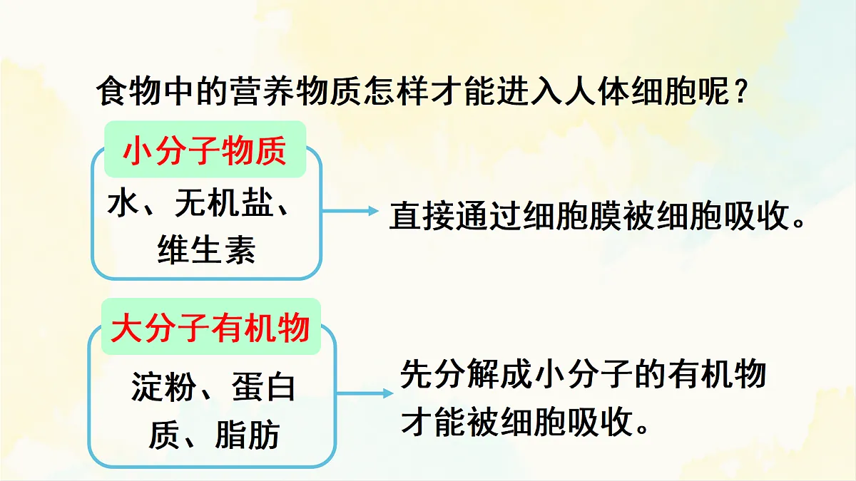 18155534第5页