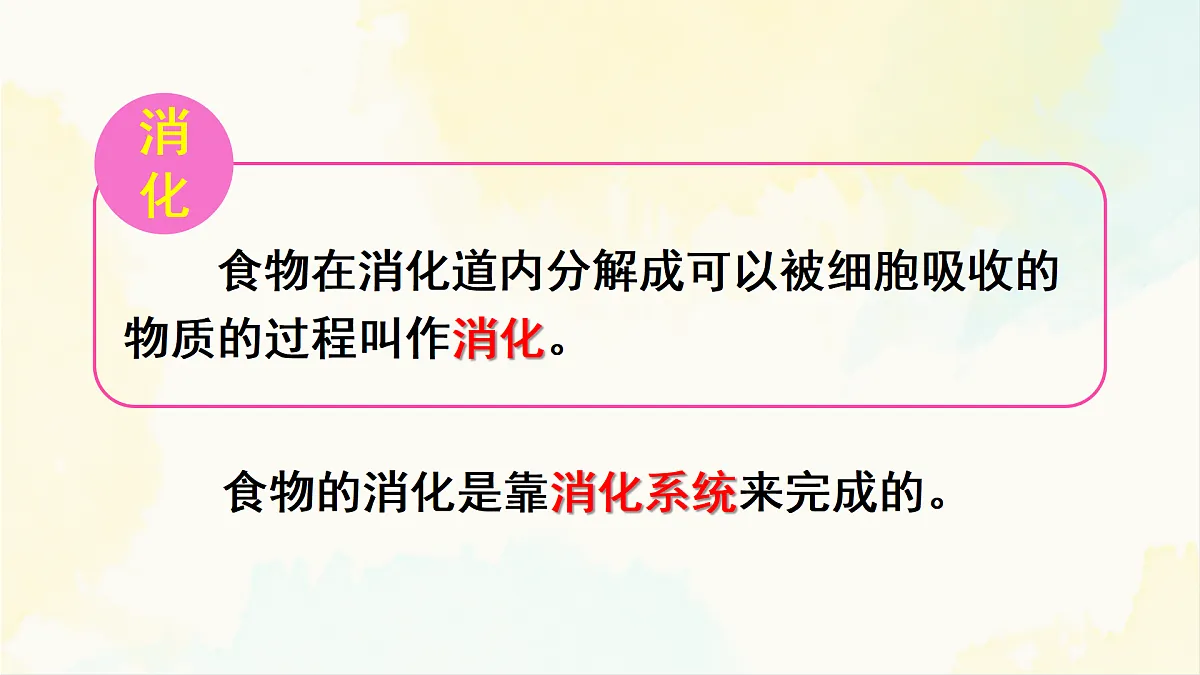 18155534第6页