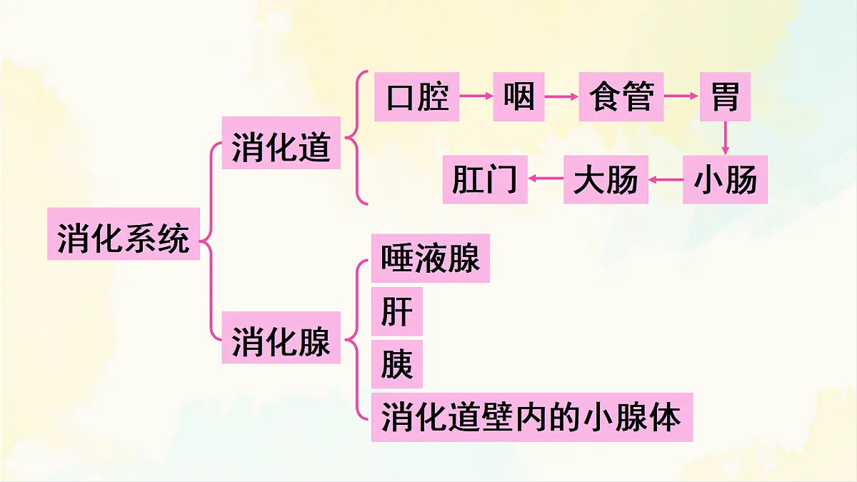 18155534第7页