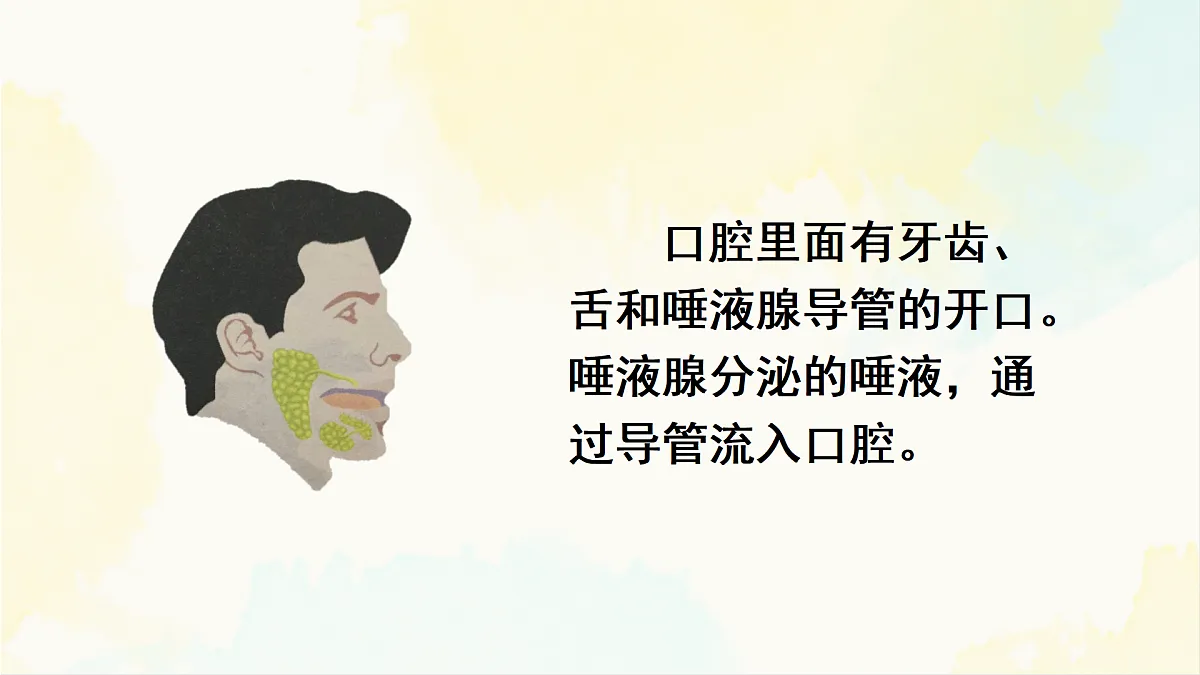 18155534第8页