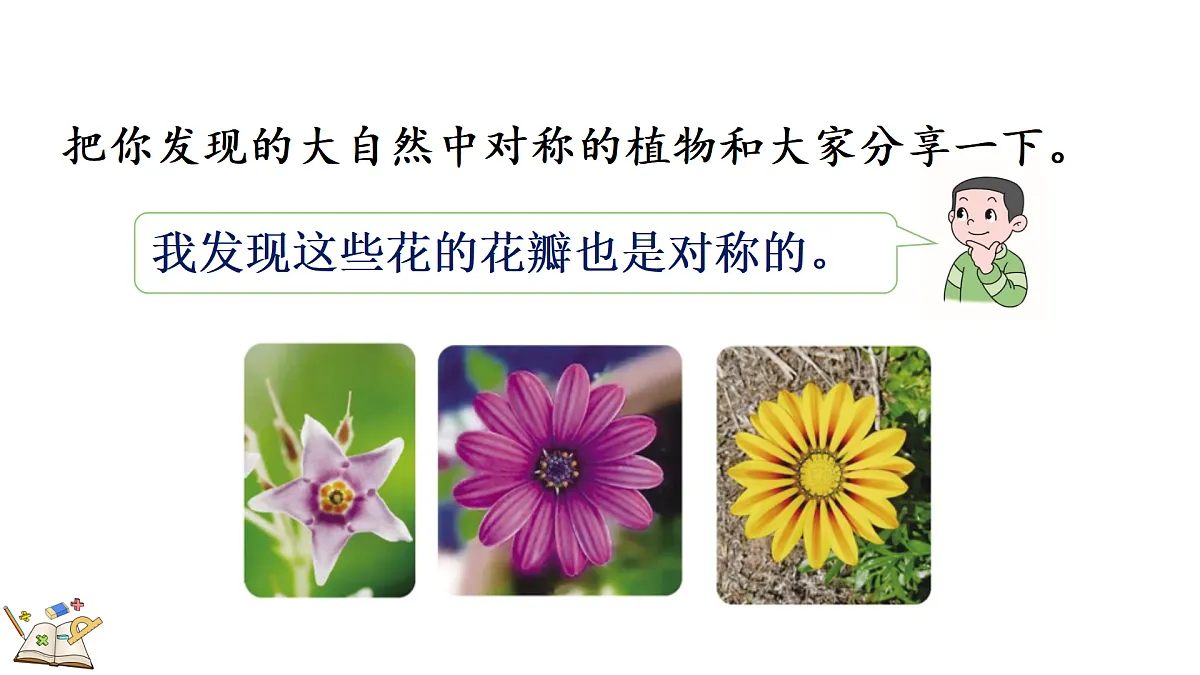 18155740第5页