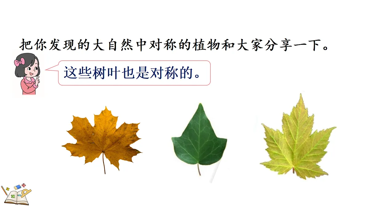 18155740第7页