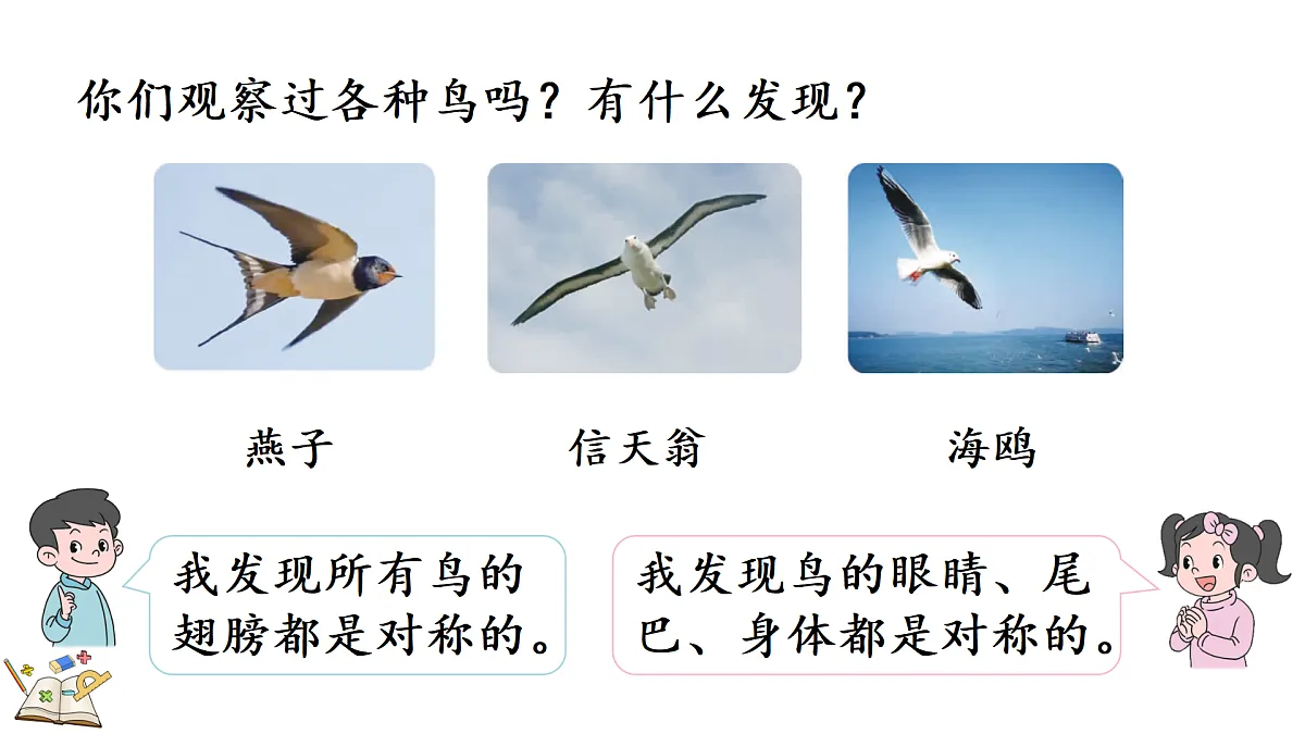 18155740第8页