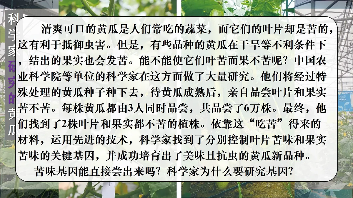 18155823第1页