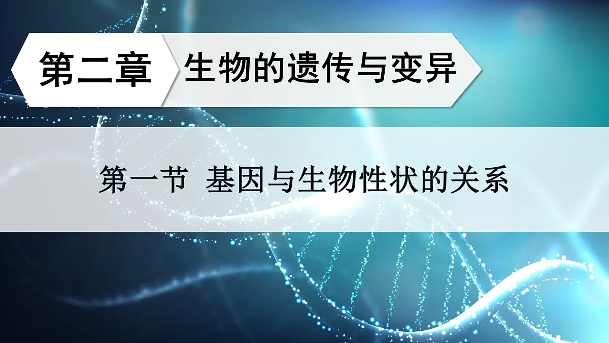 18155823第2页