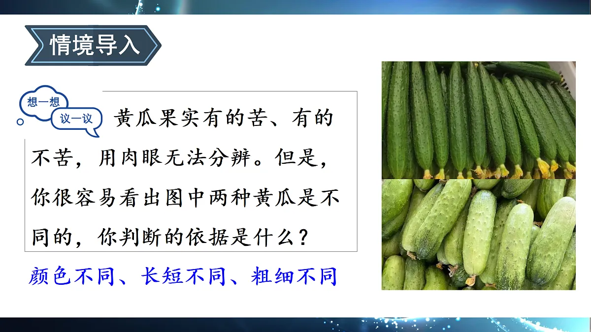 18155823第4页
