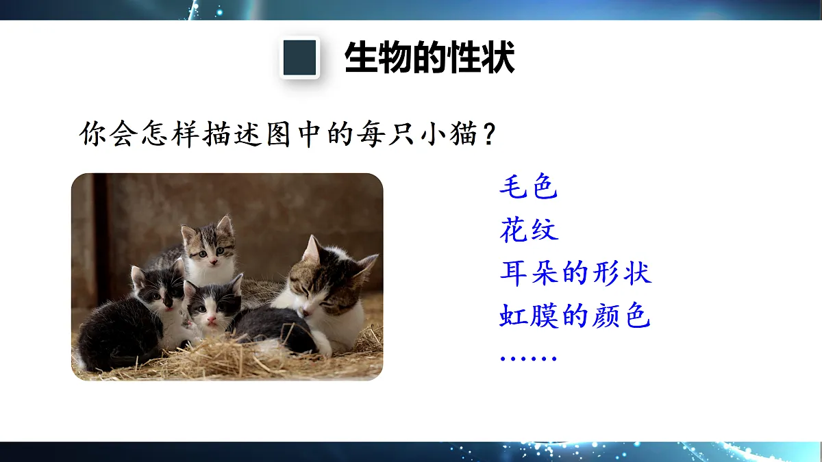 18155823第7页