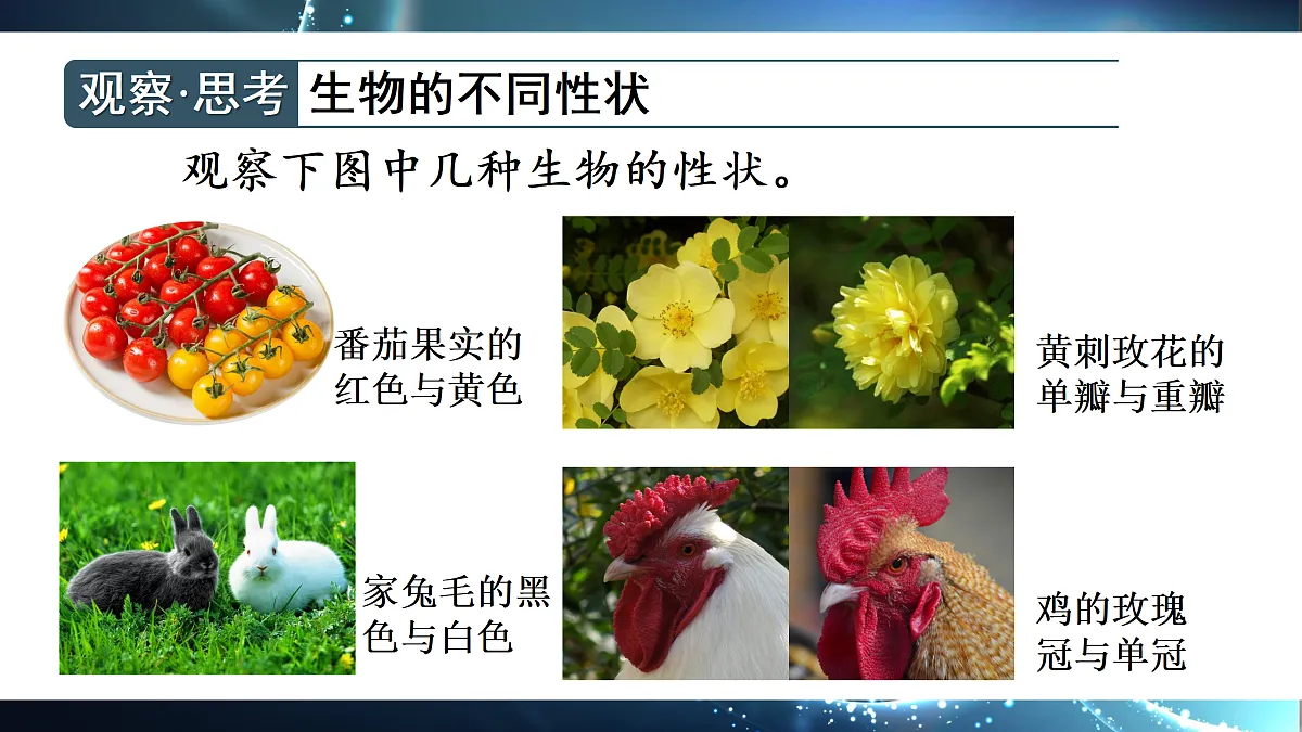 18155823第8页