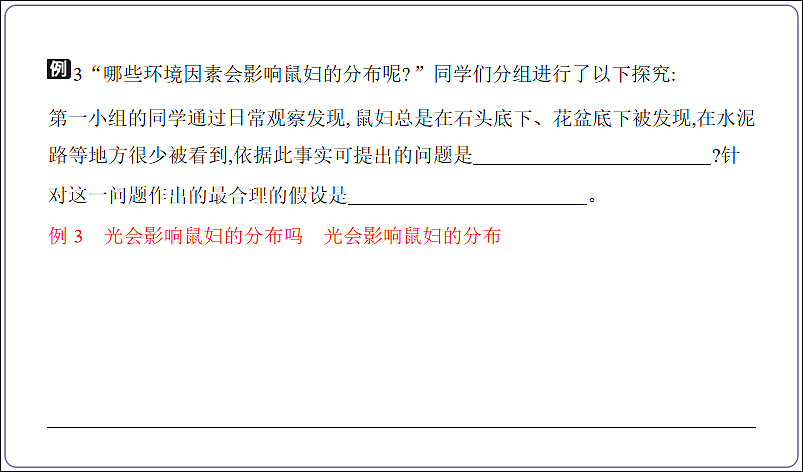 18155862第5页