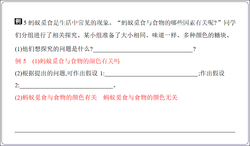 18155862第7页