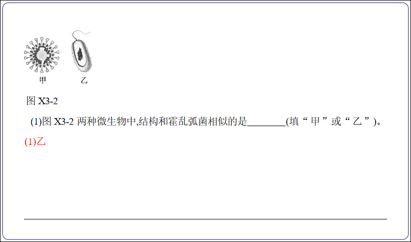 18155863第5页
