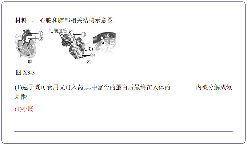 18155863第8页