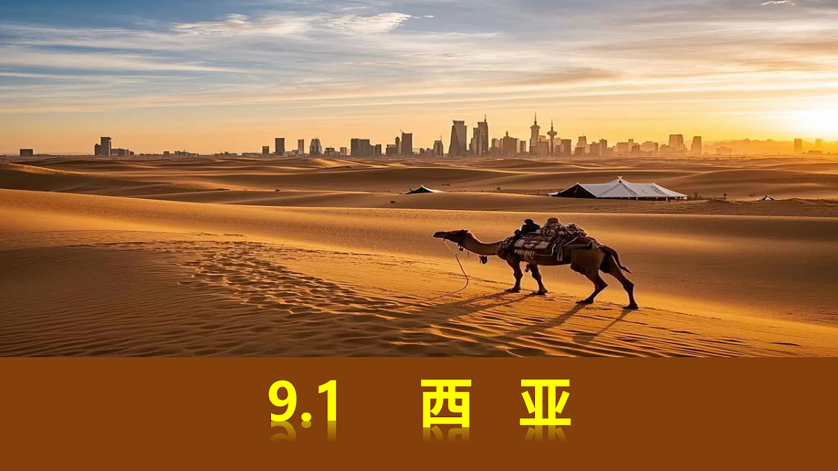 18155904第1页