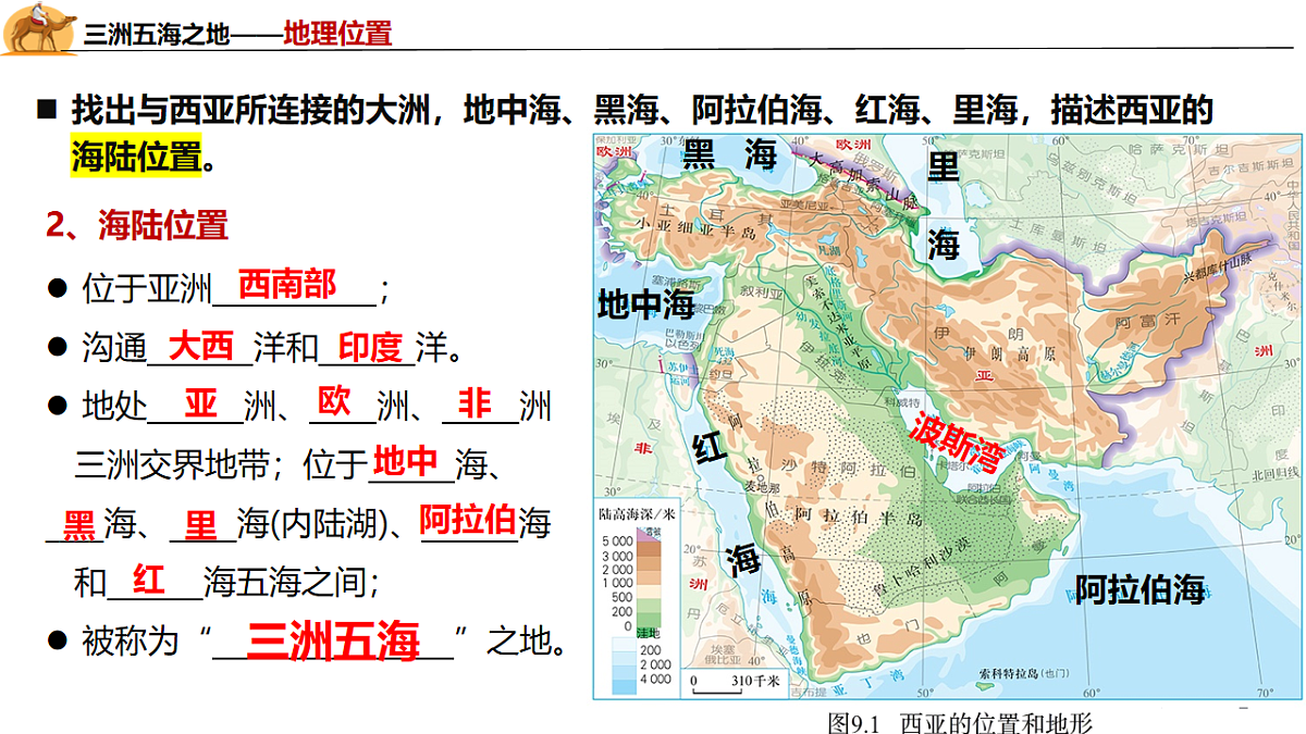 18155904第8页
