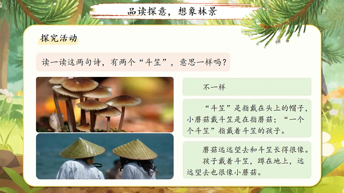 18155918第7页