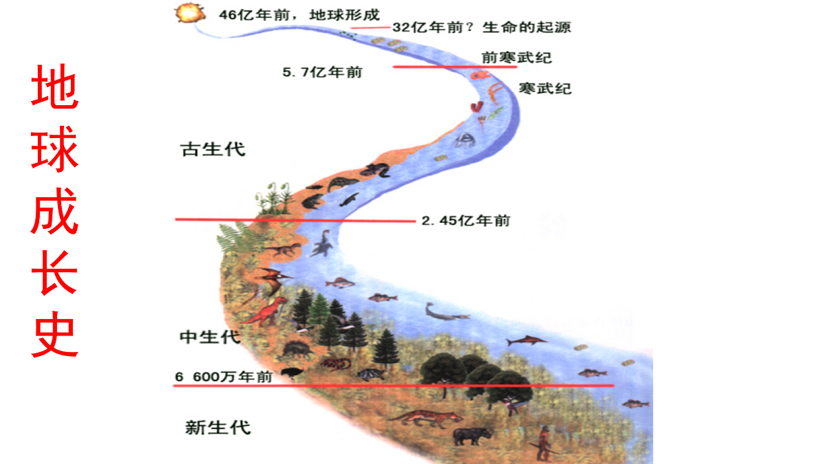 18155927第3页