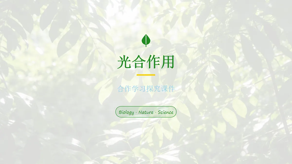 18155929第1页