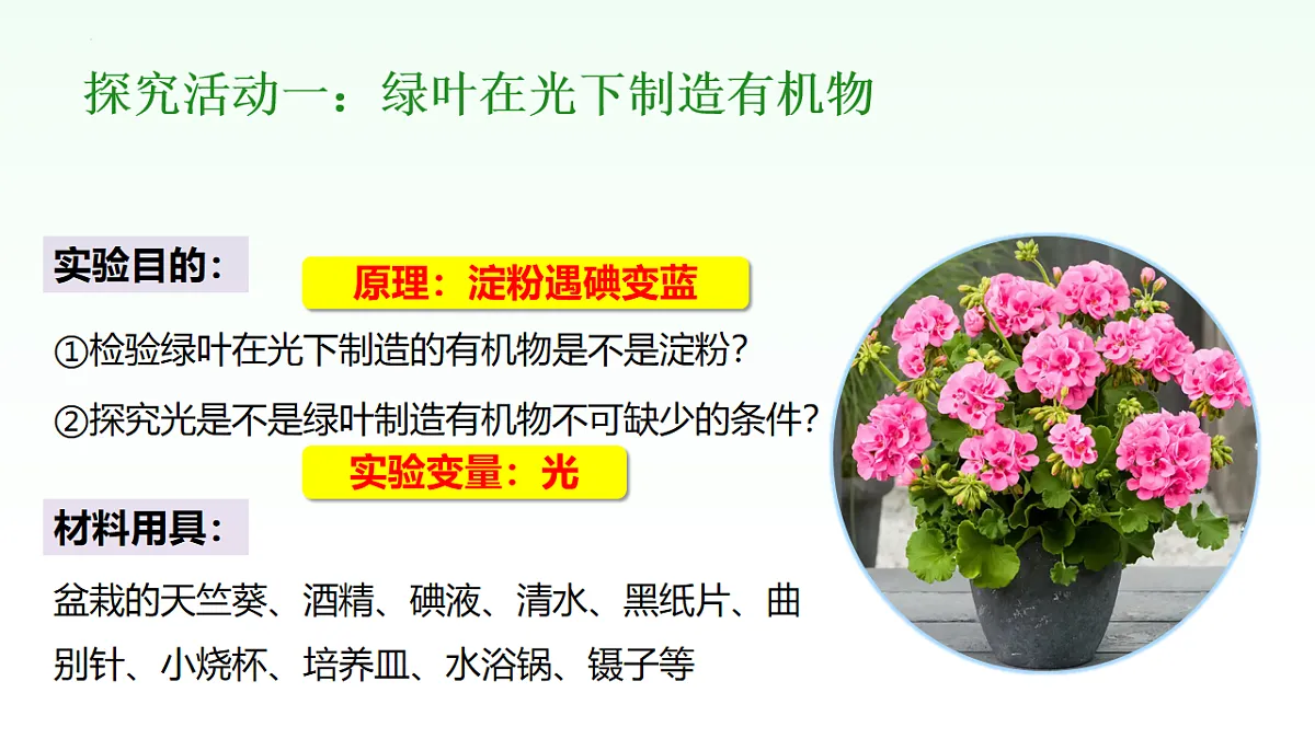 18155929第4页