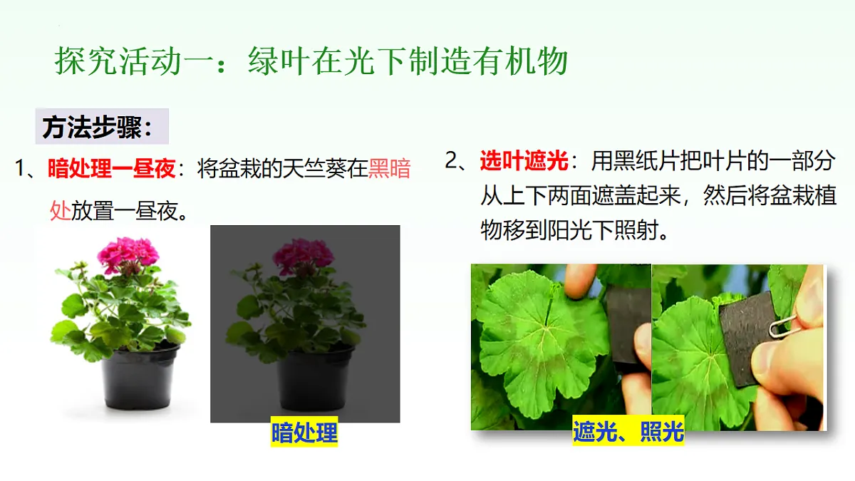 18155929第5页