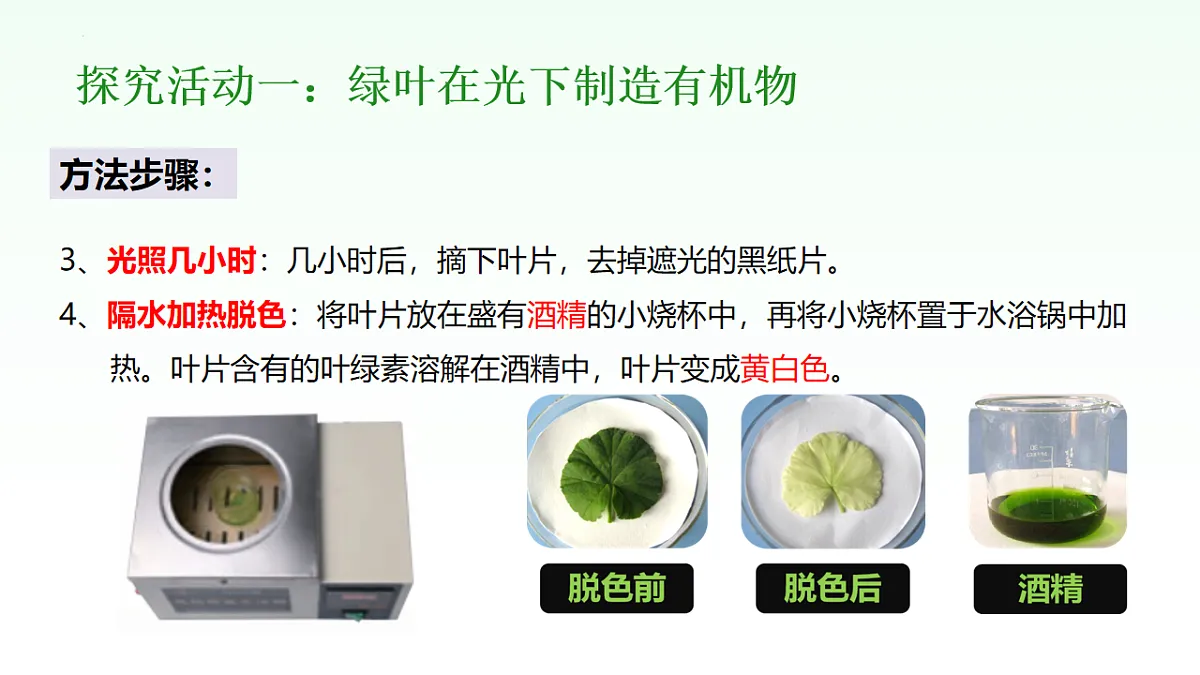 18155929第6页